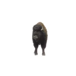 Schleich-S Wild Life για 3+ Ετών 13εκ. 14879