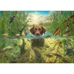 Fredrickson: Brown Labrador In Cool Water Puzzle 2D 1000pcs
