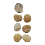 Janod Ζωγραφική για Παιδιά 6+ Ετών T-JAN-J07922