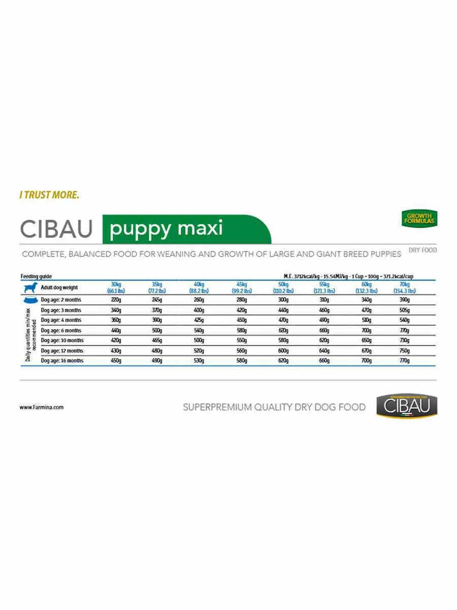 20260220123719_312d441f Farmina Cibau Puppy Maxi 12kg Ξηρά Τροφή για Κουτάβια Μεγαλόσωμων Φυλών με Κοτόπουλο και Ρύζι - Image 1