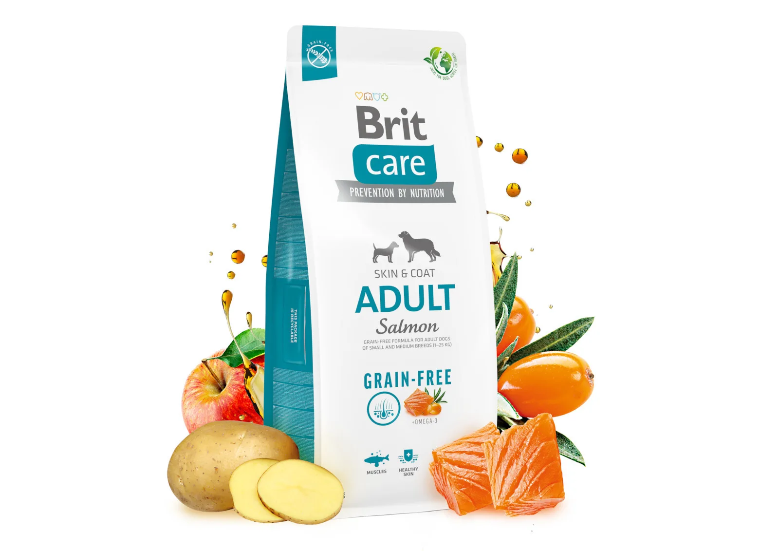 20260220135159_a6f62611 Brit Care Skin & Coat Adult 12kg Ξηρά Τροφή χωρίς Σιτηρά & Γλουτένη για Ενήλικους Σκύλους με Σολομό - Image 1