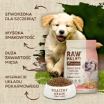 Raw Paleo 10kg Ξηρά Τροφή χωρίς Γλουτένη για Κουτάβια με Σολομό