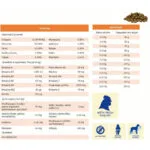 Bosch Petfood Concepts Mini Adult 15kg Ξηρά Τροφή χωρίς Γλουτένη για Ενήλικους Σκύλους Μικρόσωμων Φυλών με Αρνί και Ρύζι