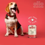 Dog Food Υγρή Τροφή Σκύλων με Χοιρινό χωρίς Σιτηρά 850gr