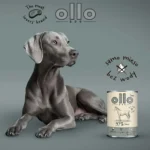 Ollo Υγρή Τροφή Σκύλων χωρίς Σιτηρά 400gr