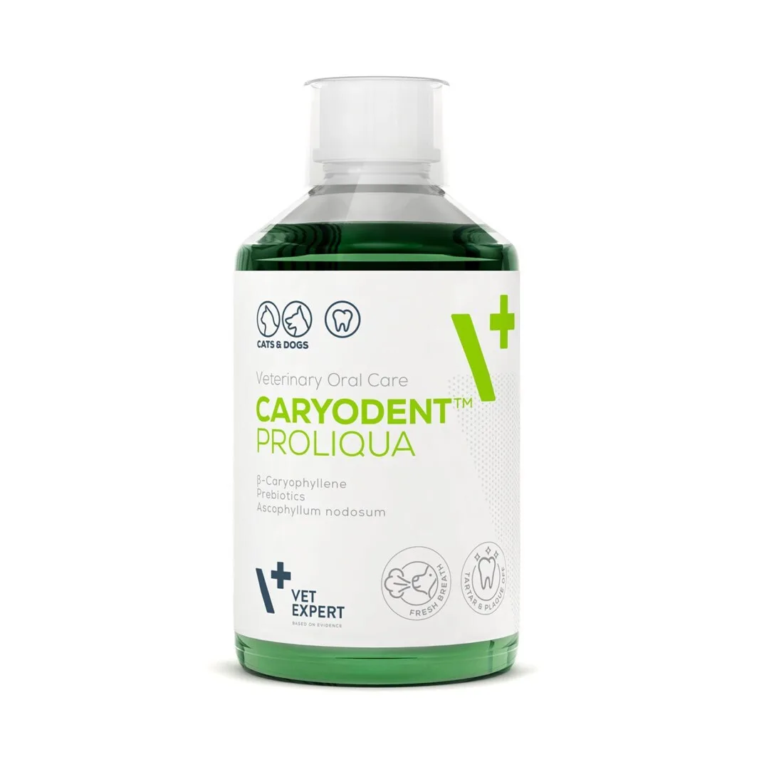 VetExpert Caryodent Proliqua Συμπλήρωμα Διατροφής Σκύλου 250ml για Οδοντική Φροντίδα - Image 1