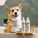 Vetexpert Detox Care Vitalizing Shampoo Dogs Cats 250 Ml