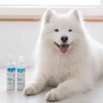 Vet Expert Clinic Care Microbiome Balance Conditioner 150ml