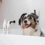 Vetexpert Clinic Care Hypo & Omega Conditioner Conditioner Dogs Cats 150 Ml