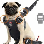 Zolux Travel Safe S Red Dog Harness