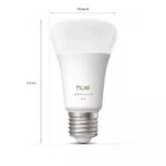 Philips Smart Λάμπες LED για Ντουί E27 και Σχήμα A60 2τμχ 929003854802