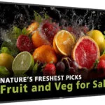 Philips Dline Public Display ADS / LED 65"