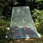 Cocoon Διπλή Κουνουπιέρα για Camping Πράσινη