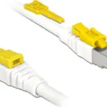 DeLock S/FTP Cat.6a Καλώδιο Δικτύου Ethernet 5m Λευκό (85335)