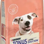 Dog Chow Adult Sensitive 14kg Ξηρά Τροφή για Ενήλικους Σκύλους με Σολομό