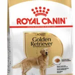 Royal Canin Adult Golden Retriever 12kg Ξηρά Τροφή χωρίς Γλουτένη για Ενήλικους Σκύλους Μεγαλόσωμων Φυλών με Πουλερικά και Ρύζι