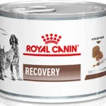 Royal Canin Recovery Υγρή Τροφή Σκύλων σε Κονσέρβα Διαίτης με Κρέας 195gr 3737002