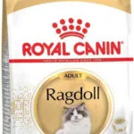 Royal Canin Ragdoll Adult Ξηρά Τροφή χωρίς Γλουτένη για Ενήλικες Γάτες με Πουλερικά 0.4kg