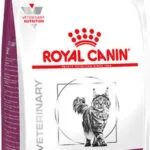 Royal Canin Veterinary Renal Ξηρά Τροφή Γάτας με Καλαμπόκι / Ρύζι 2kg