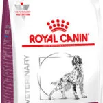 Royal Canin Veterinary Renal Special 2kg Ξηρά Τροφή για Ενήλικους Σκύλους με Ρύζι