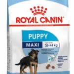 Royal Canin Puppy Maxi 15kg Ξηρά Τροφή για Κουτάβια Μεγαλόσωμων Φυλών με Ρύζι και Χοιρινό