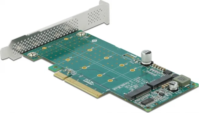 DeLock Κάρτα PCI σε θύρες M.2 PCI Express x8 Card to 2 x internal NVMe M.2 Key M - Bifurcation (89045) - Image 1