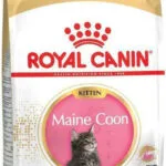 Royal Canin Maine Coon Kitten Ξηρά Τροφή χωρίς Γλουτένη για Ανήλικες Γάτες με Πουλερικά / Ρύζι 0.4kg