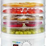 Green Blue GB190 Αποξηραντής Τροφίμων με 5 Ράφια και Ρυθμιζόμενη Θερμοκρασία 35-70°C