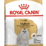 Royal Canin Adult Maltese 1.5kg Ξηρά Τροφή χωρίς Γλουτένη για Ενήλικους Σκύλους Μικρόσωμων Φυλών με Κοτόπουλο και Ρύζι