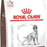 Royal Canin Veterinary Gastrointestinal 2kg Ξηρά Τροφή για Ενήλικους Σκύλους με Ρύζι και Πουλερικά