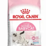 Royal Canin Mother & Babycat 1-4 Months Ξηρά Τροφή Γάτας με Πουλερικά 2kg