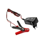 Green Cell Φορτιστής Μπαταρίας Αυτοκινήτου Universal 6/12V ACAGM06