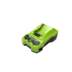 Greenworks Φορτιστής Μπαταριών Εργαλείου 24V ADEGRWLDA0006 2932407