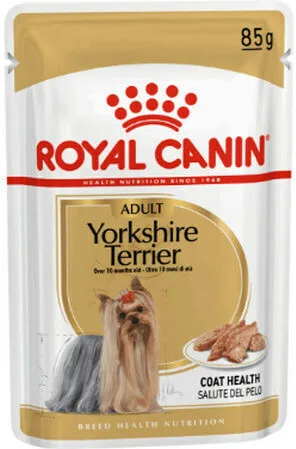 Royal Canin Terrier Υγρή Τροφή Σκύλων σε Φακελάκι με Κρέας 85gr 1754010 - Image 1