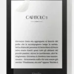 SBS Screen Protector (Kindle Paperwhite - SBS Doodroo)