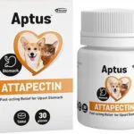 Aptus Συμπλήρωμα Διατροφής Σκύλου και Γάτας σε Δισκία για Γαστρεντερικές Διαταραχές