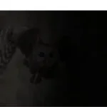 Natec Φίλτρο Οθόνης