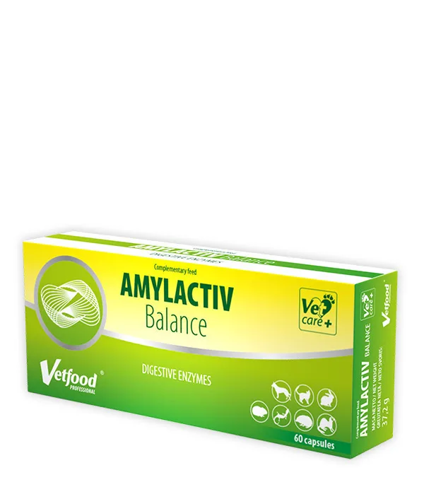 20250404161516_vetfood_sympliroma_diatrofis_skylou_se_diskia_gia_gastrenterikes_diataraches Vetfood Συμπλήρωμα Διατροφής Σκύλου σε Δισκία για Γαστρεντερικές Διαταραχές - Image 1