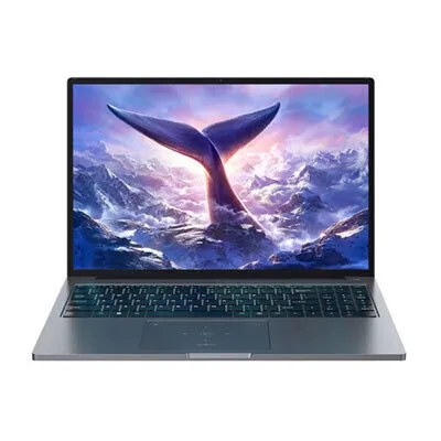 BlackView GamiBook 8 16" IPS FHD+ (Ryzen 7-7735HS/16GB/512GB SSD/W11 Pro) (US Keyboard) - Image 1
