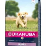 Eukanuba Puppy 12kg Ξηρά Τροφή για Κουτάβια με Ρύζι και Αρνί