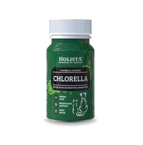 20260226133803_holista_polyvitamines_skylou_kai_gatas_gia_enischysi_organismou Holista Πολυβιταμίνες Σκύλου και Γάτας για Ενίσχυση Οργανισμού - Image 1
