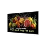 Philips 5000 Series Public Display LED 49.5"