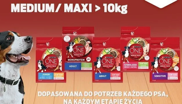 Purina One 12kg Ξηρά Τροφή Σκύλων με Κοτόπουλο και Ρύζι - Image 1