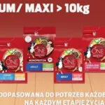 Purina One 2.5kg Ξηρά Τροφή Σκύλων με Γαλοπούλα