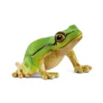 Schleich-S Παιχνίδι Μινιατούρα 14882
