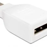 DeLock 65239 Μετατροπέας mini DisplayPort male σε DisplayPort male Λευκό 1τμχ