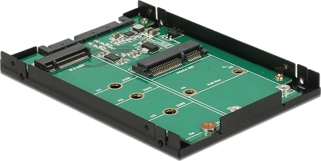 DeLock SATA 22 pin to M.2 key B + mSATA - Image 1