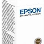 Epson 673 Γνήσιο Μελάνι Εκτυπωτή InkJet Μαύρο (C13T67314A)