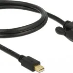 DeLock Cable DVI-D male - DisplayPort male 1m (83988)