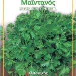 Gemma Σπόροι Μαϊντανός Κλασικός Πράσινος 10gr/4500τμχ 12724